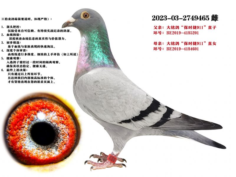 սġʱ911ֱ