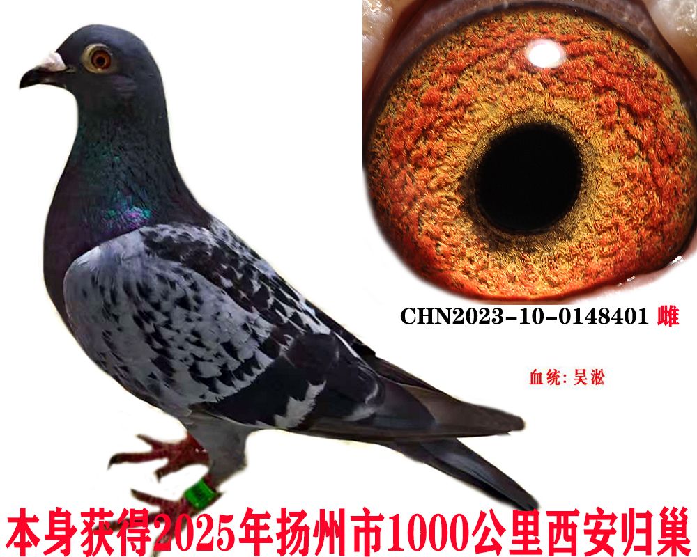 daeca6a020f477b326f86405d17cbae