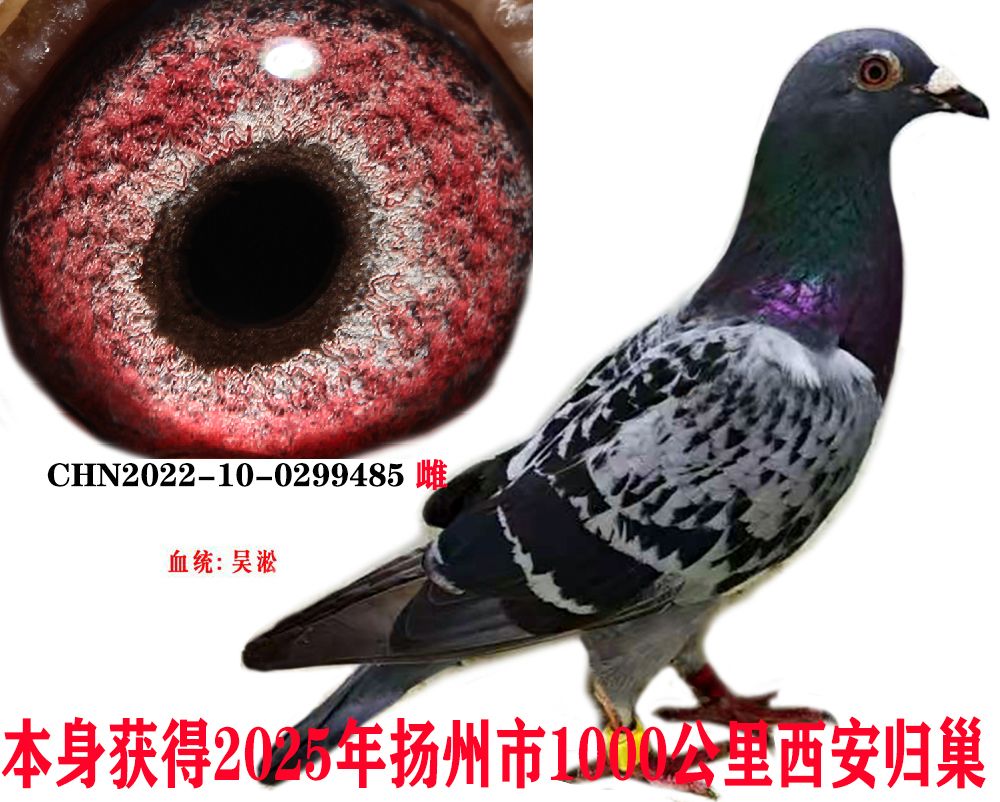 3c06a4c399f1fd3e77398345e7e12b3