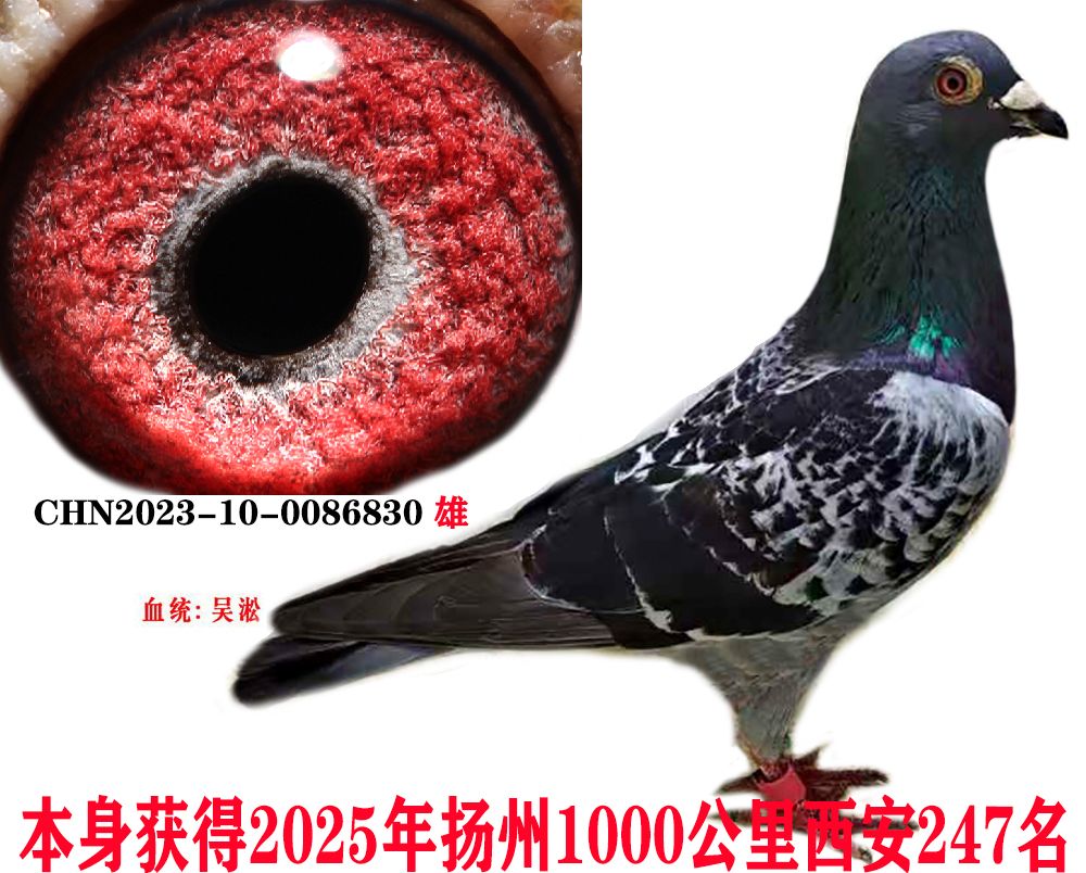 6354254b0c39cc25759c23943728ec5