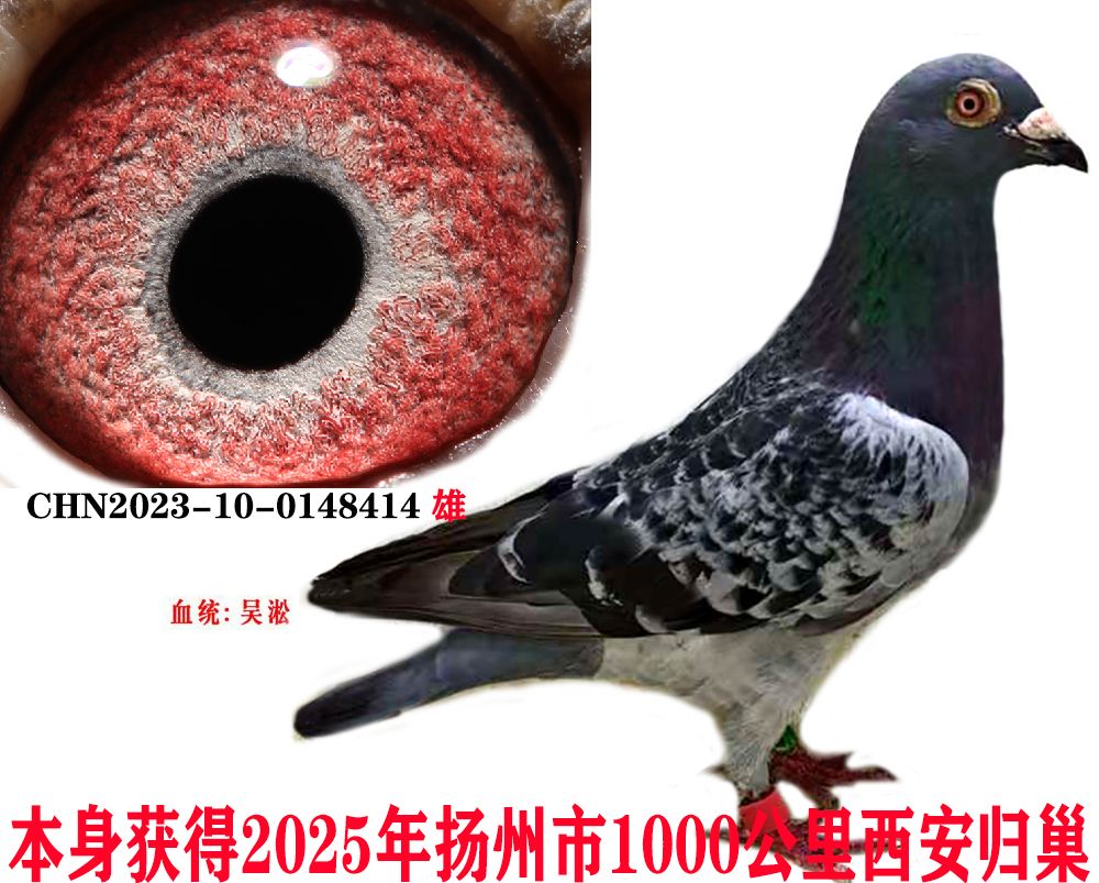 3f1b045e5d11421d01e09e0e51b6589