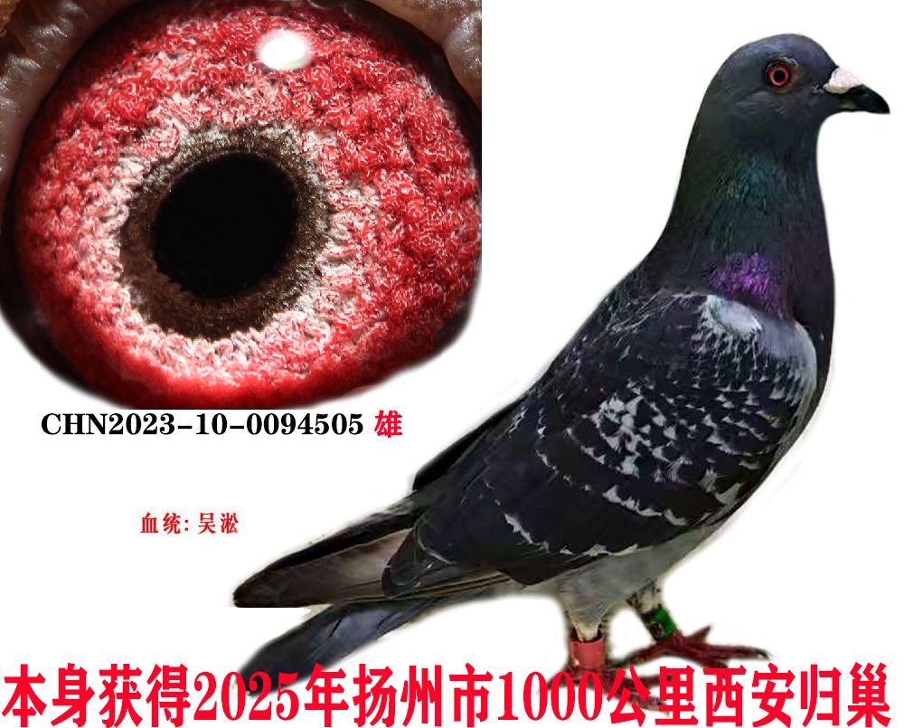 068e0849d6d3f71be942adf4cf69104