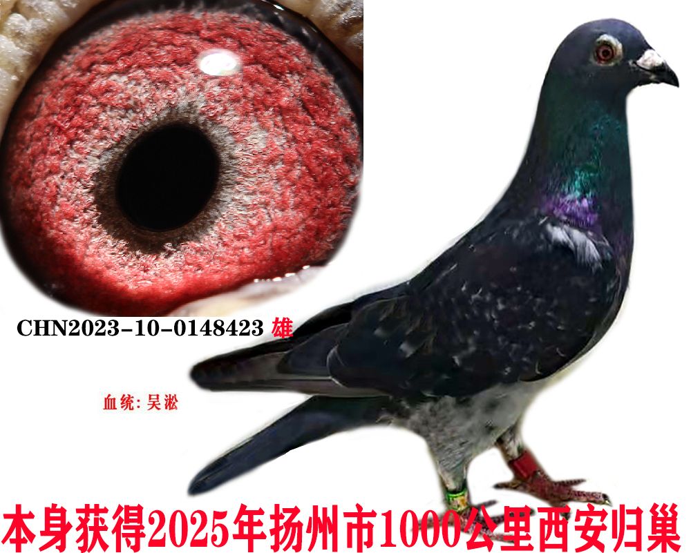 0499a549b336aa21d46805868690bc8