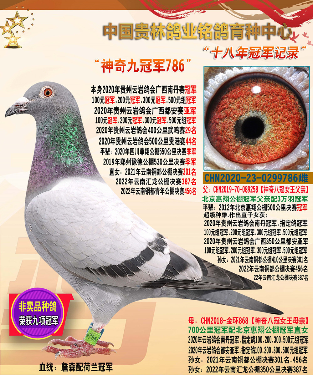 ˹Ů786