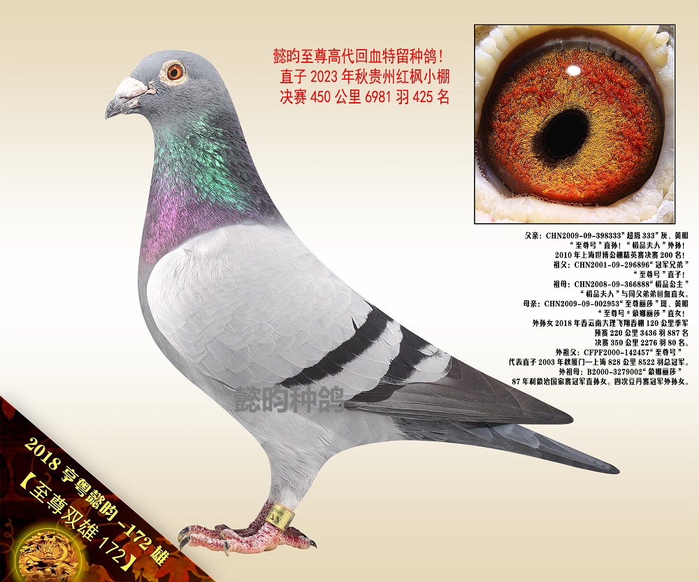 p172̖(ho)ѪO
