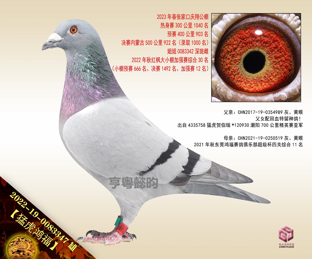 ͻ踣