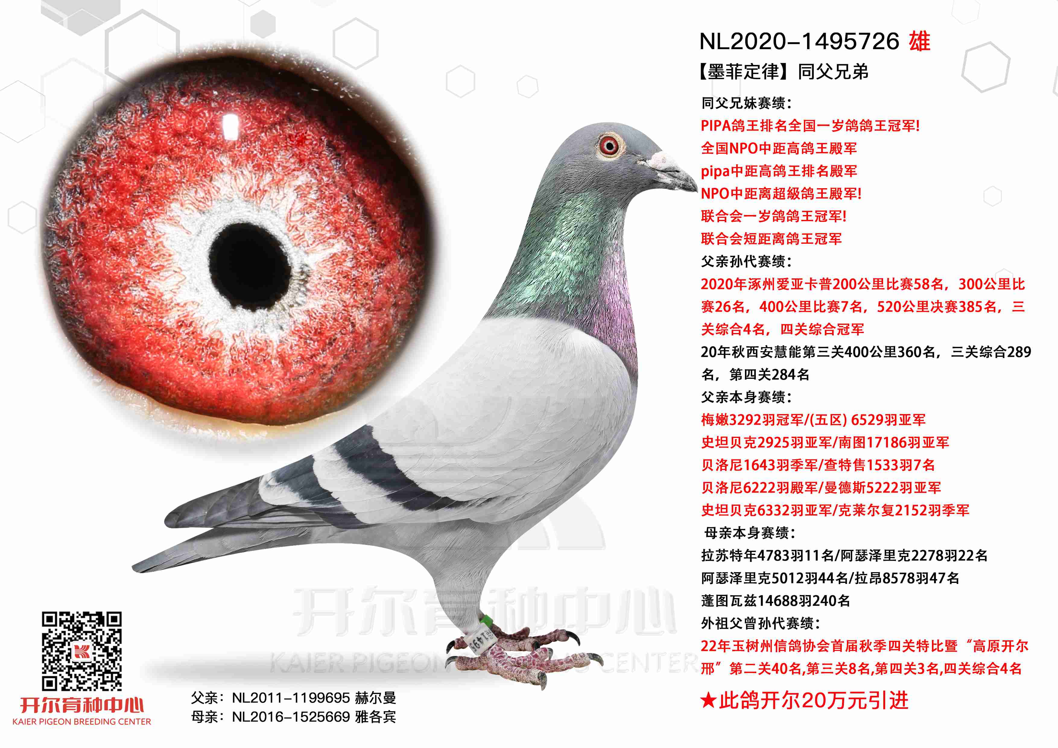 īƶɡֵͬ