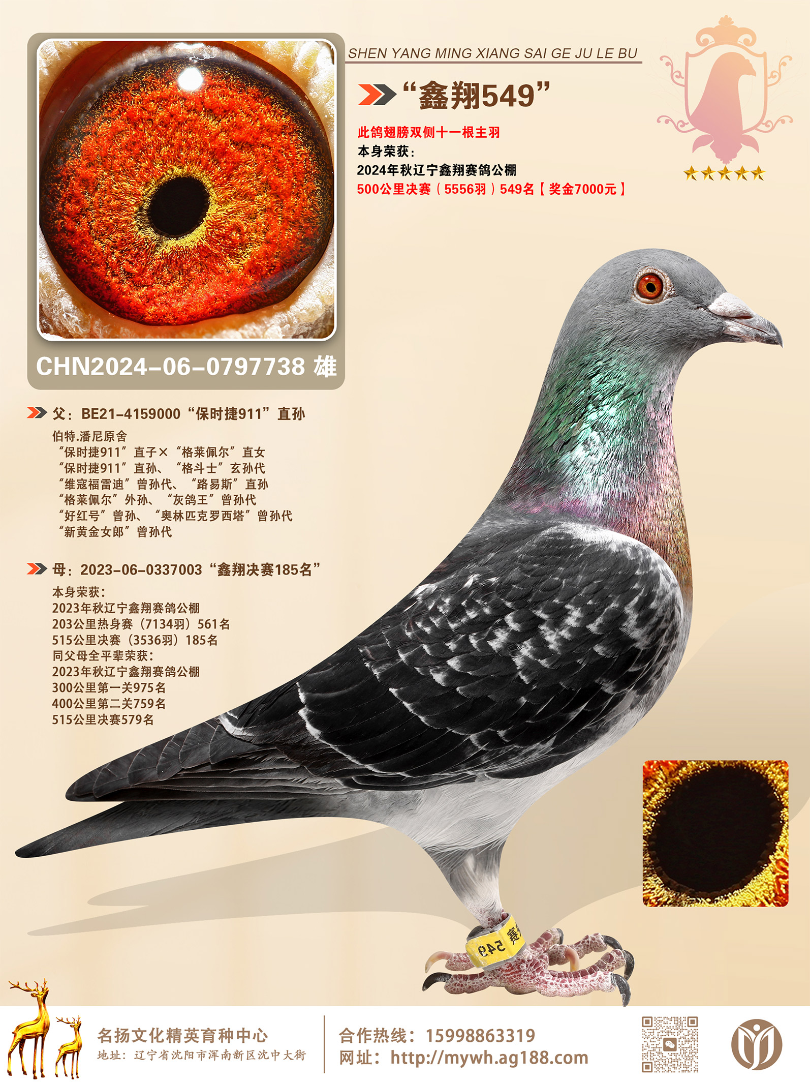 2024ﳯ(yng)蹫Qِ549