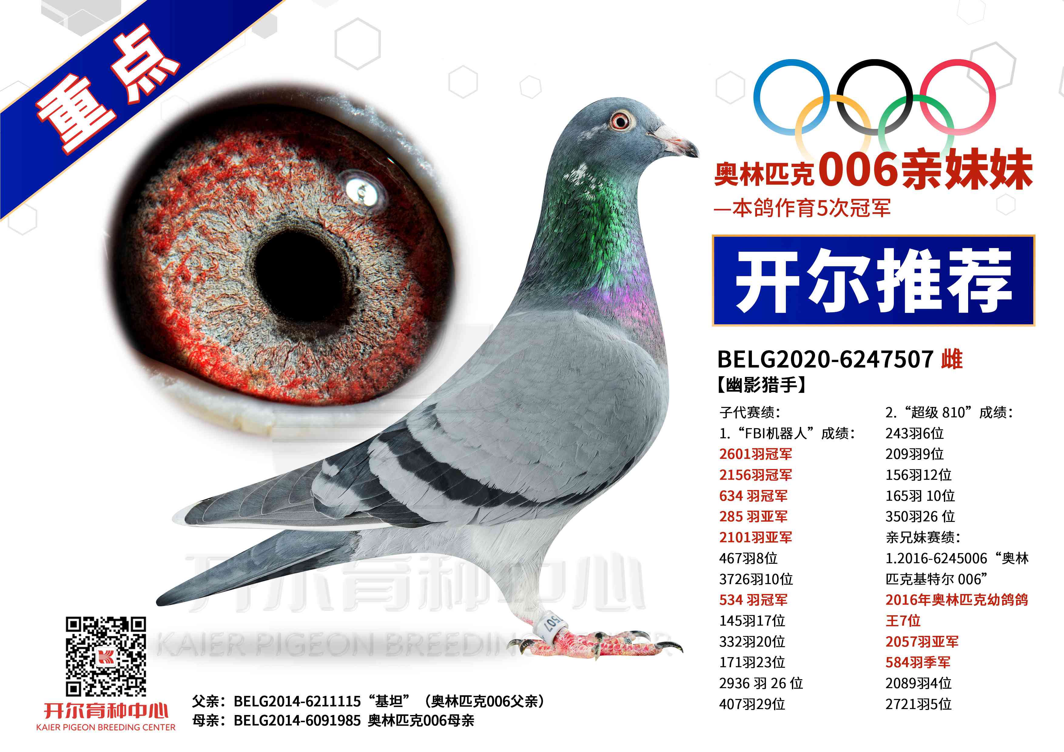 ƥ006áӰ֡