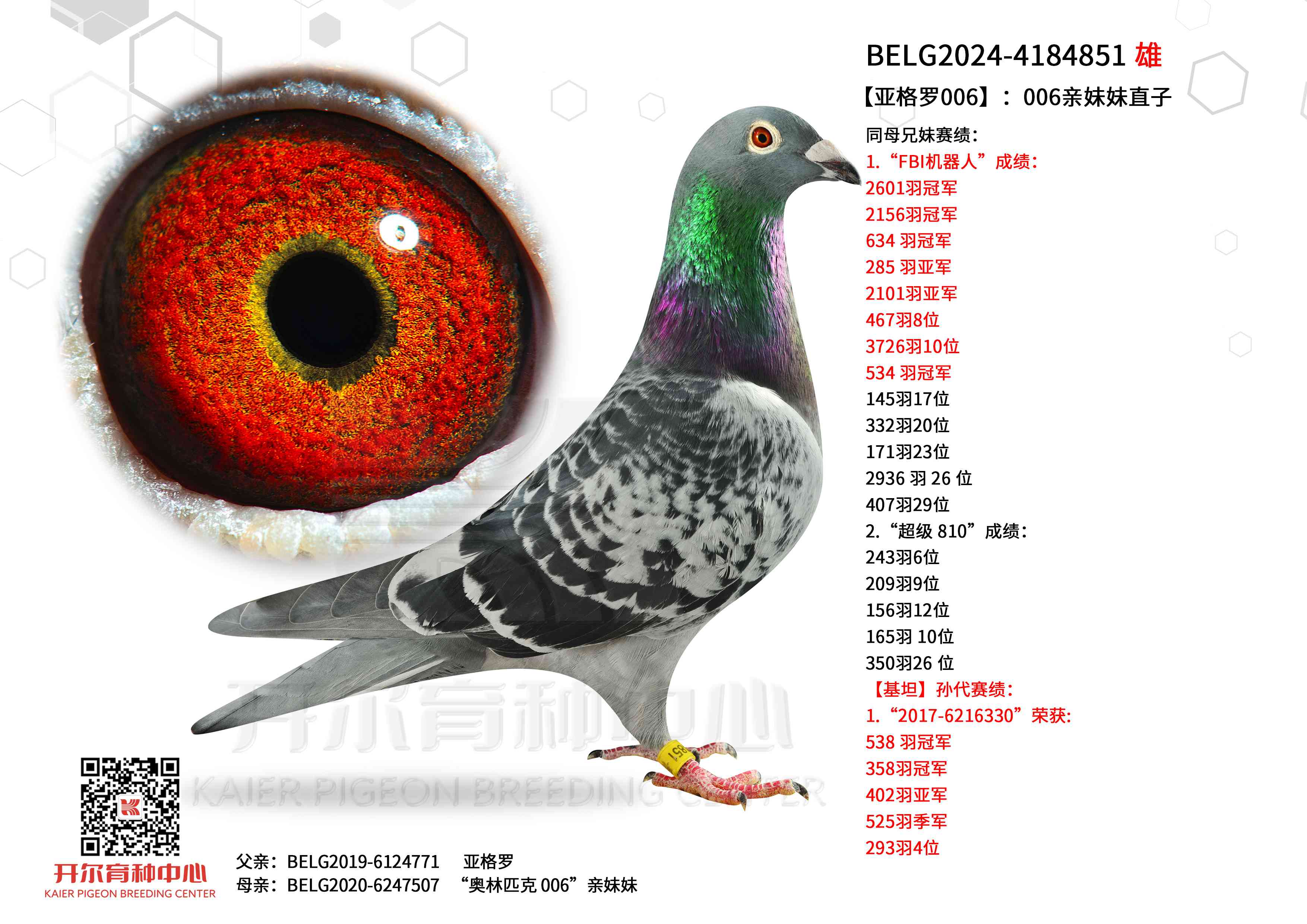 Ǹ006006ֱ