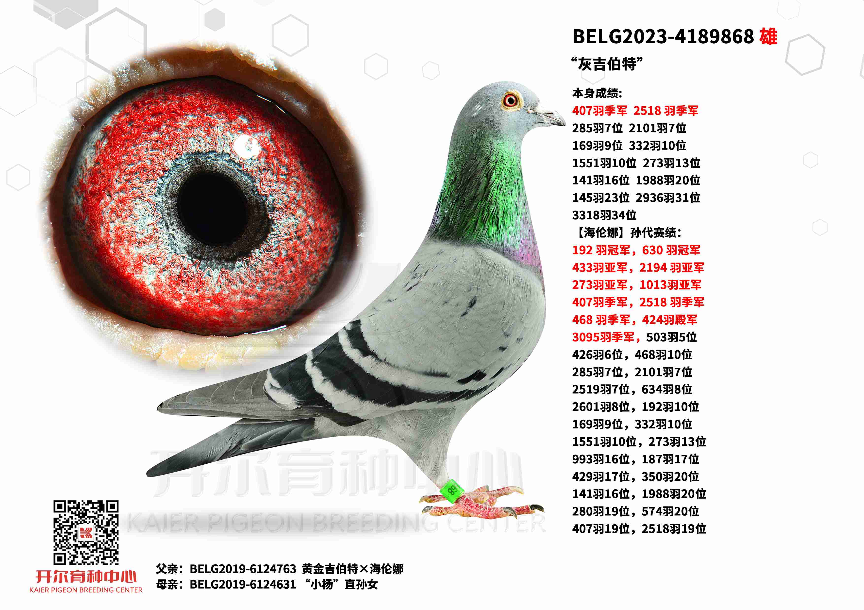 Ҽء