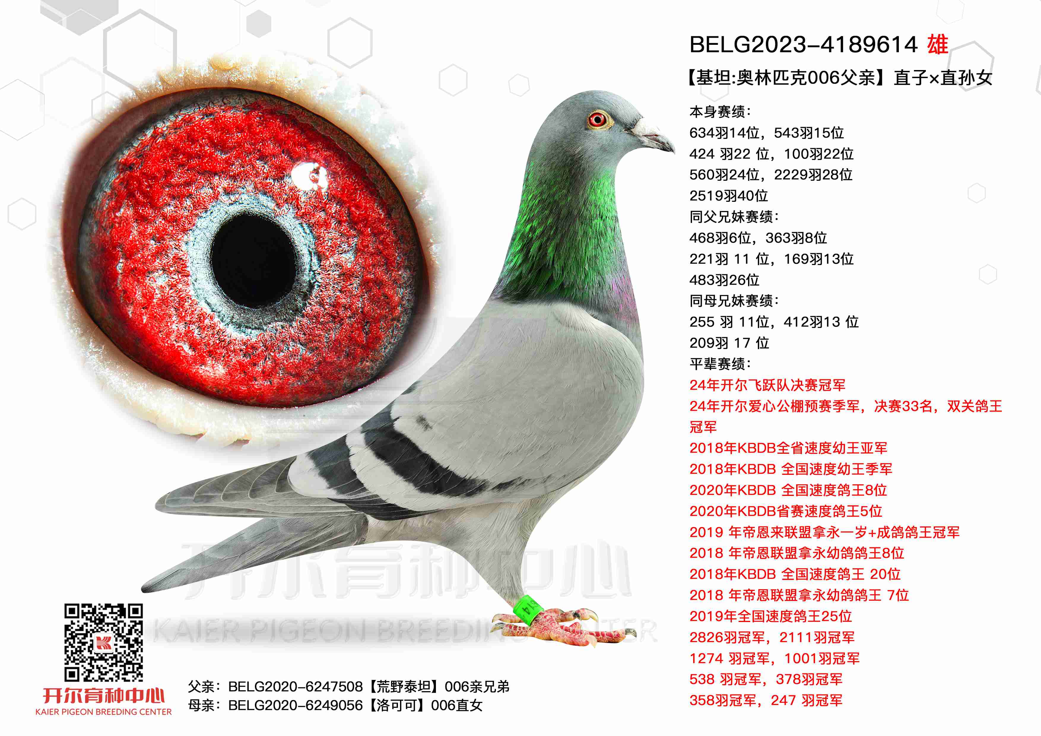 ̹:ƥ006סֱӡֱŮ