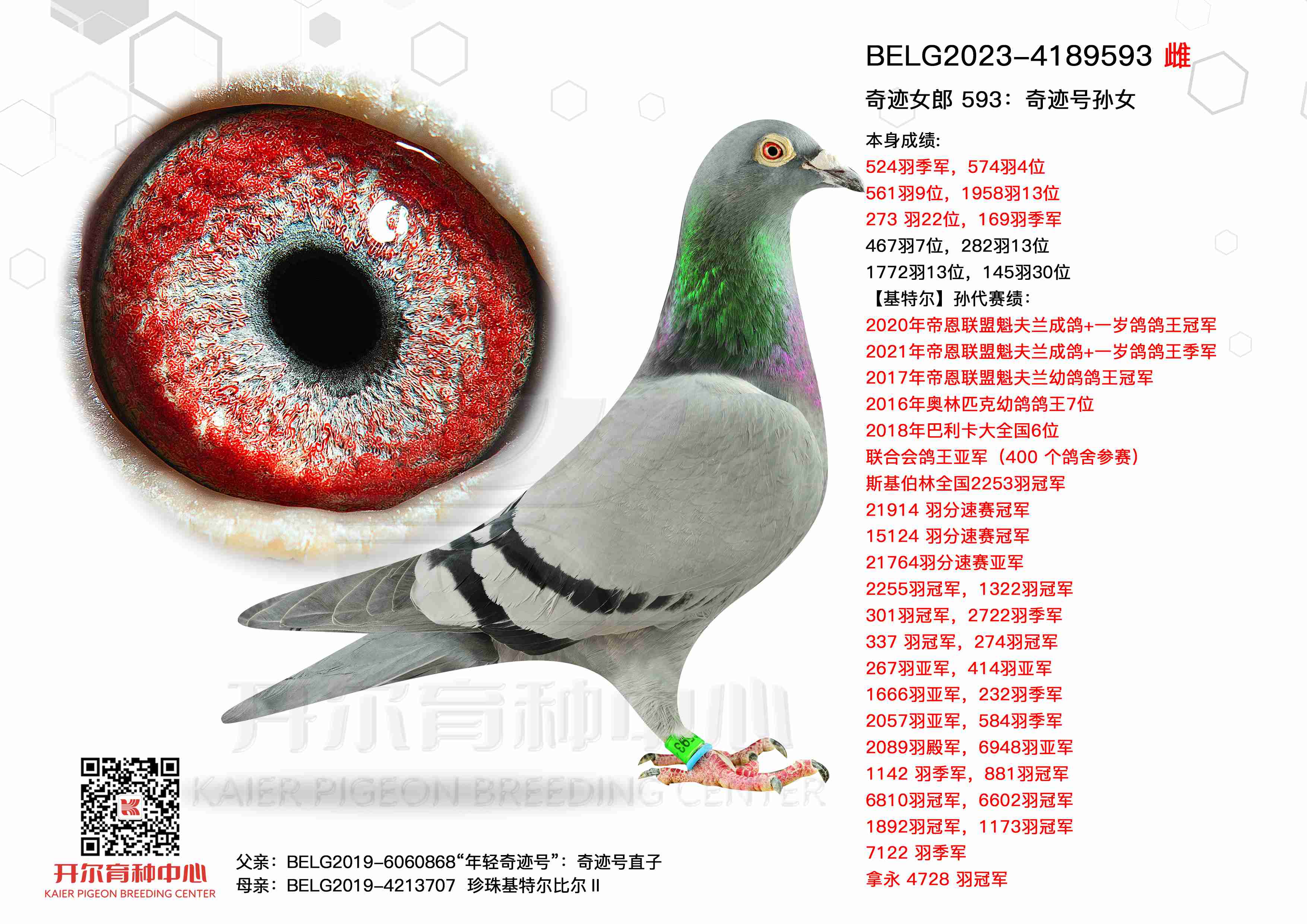 漣Ů 593(漣Ů)