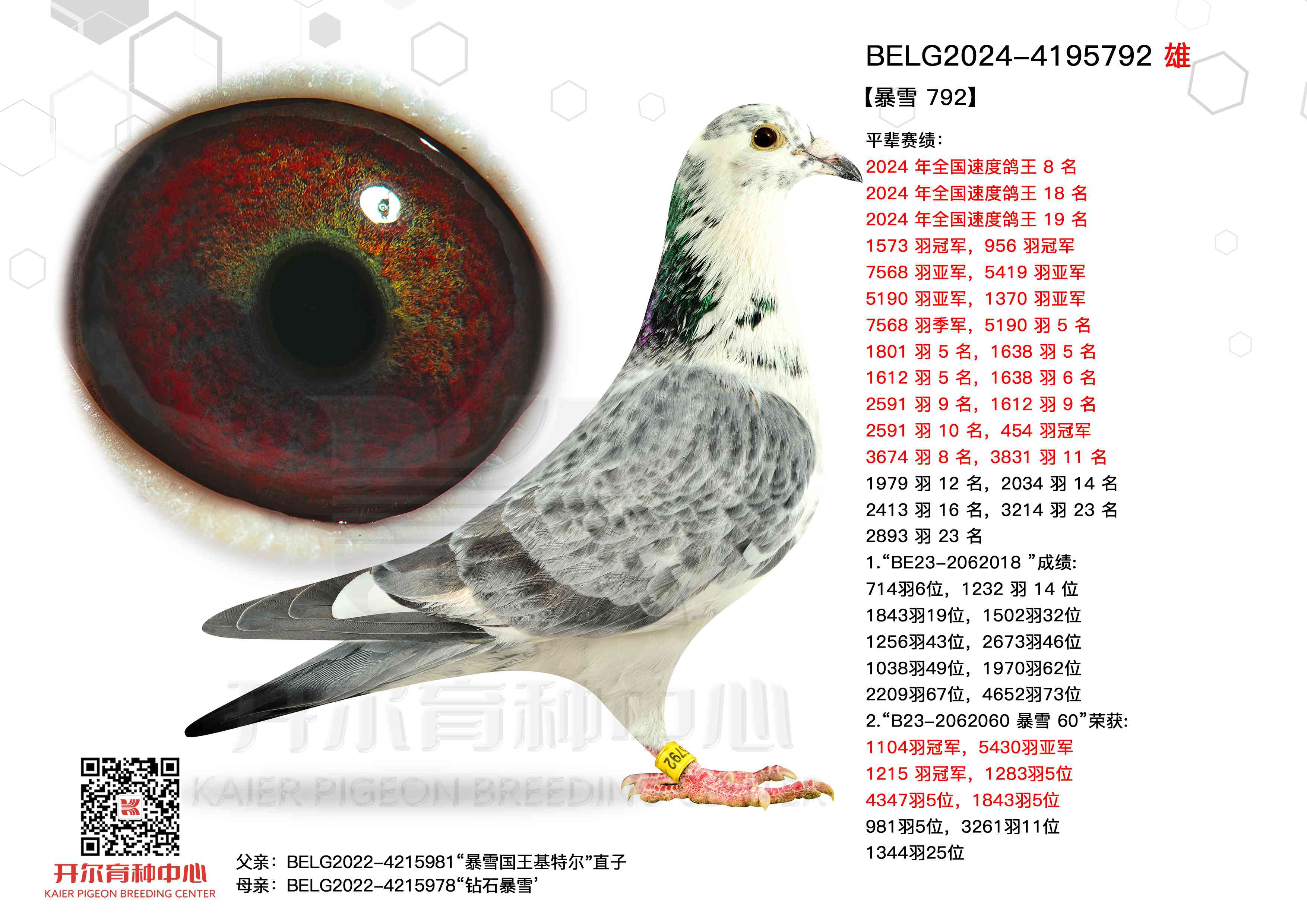 ѩ792ѩضֱӡֱŮ