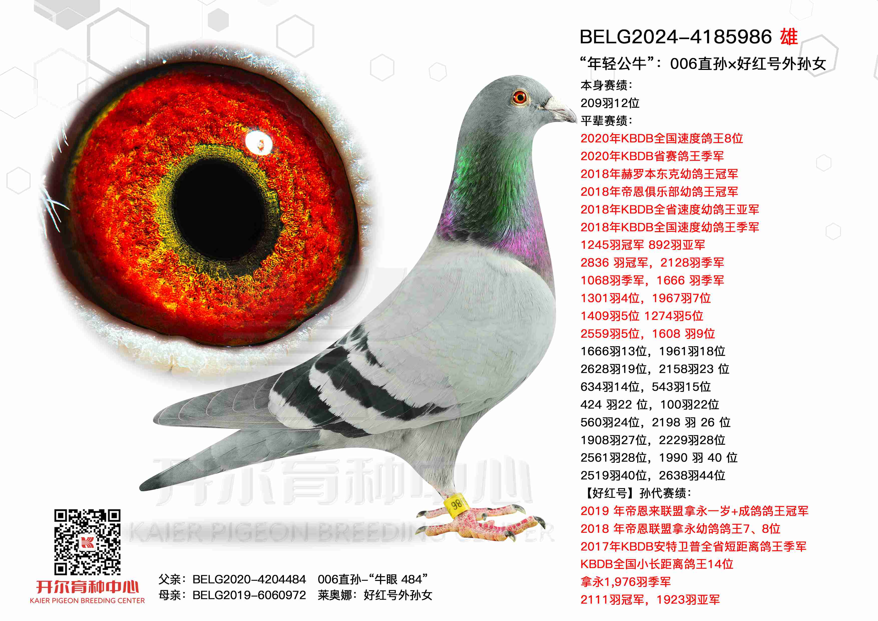 p006ֱOüt̖OŮ