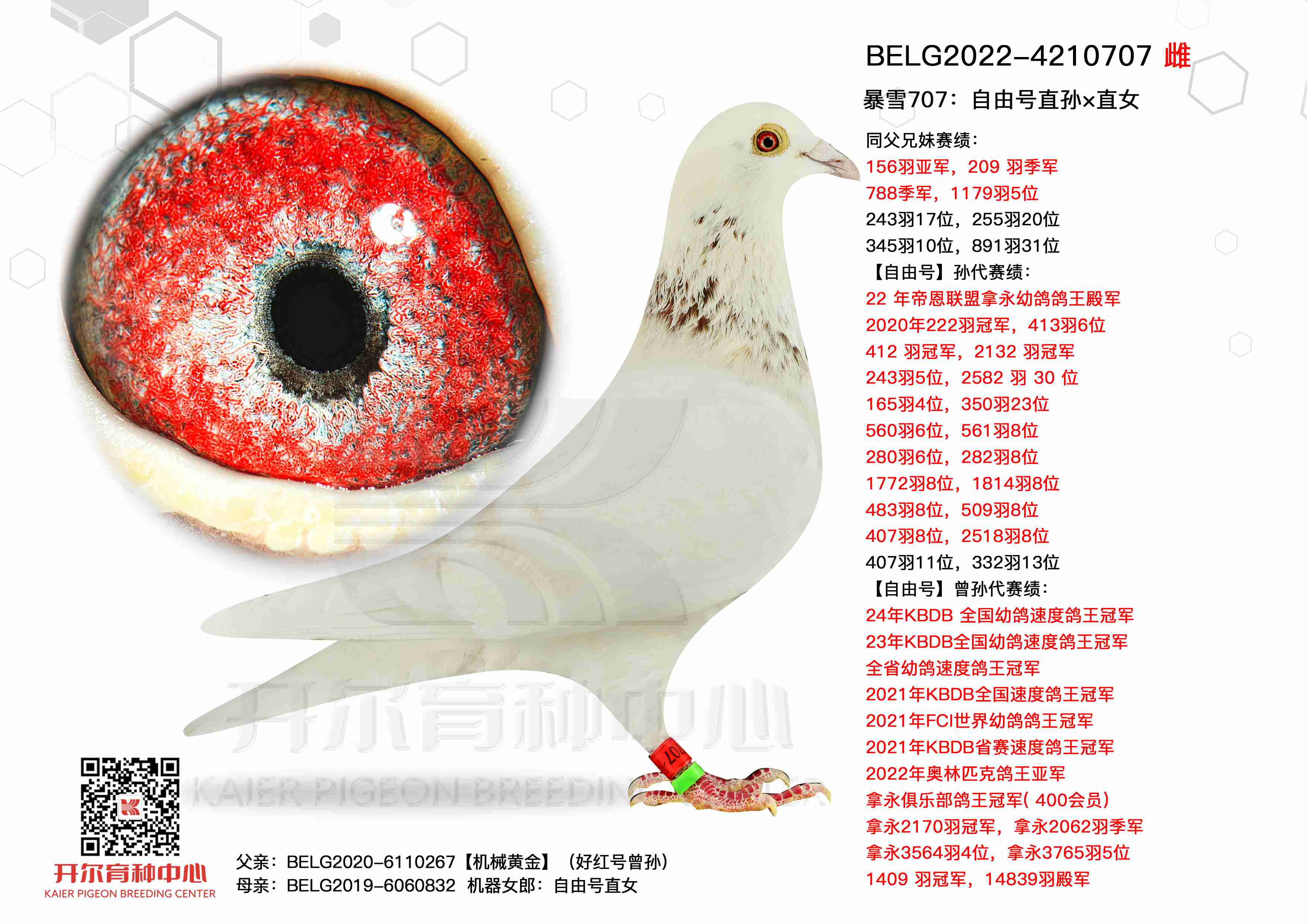 ѩ707ֱ̖OֱŮ