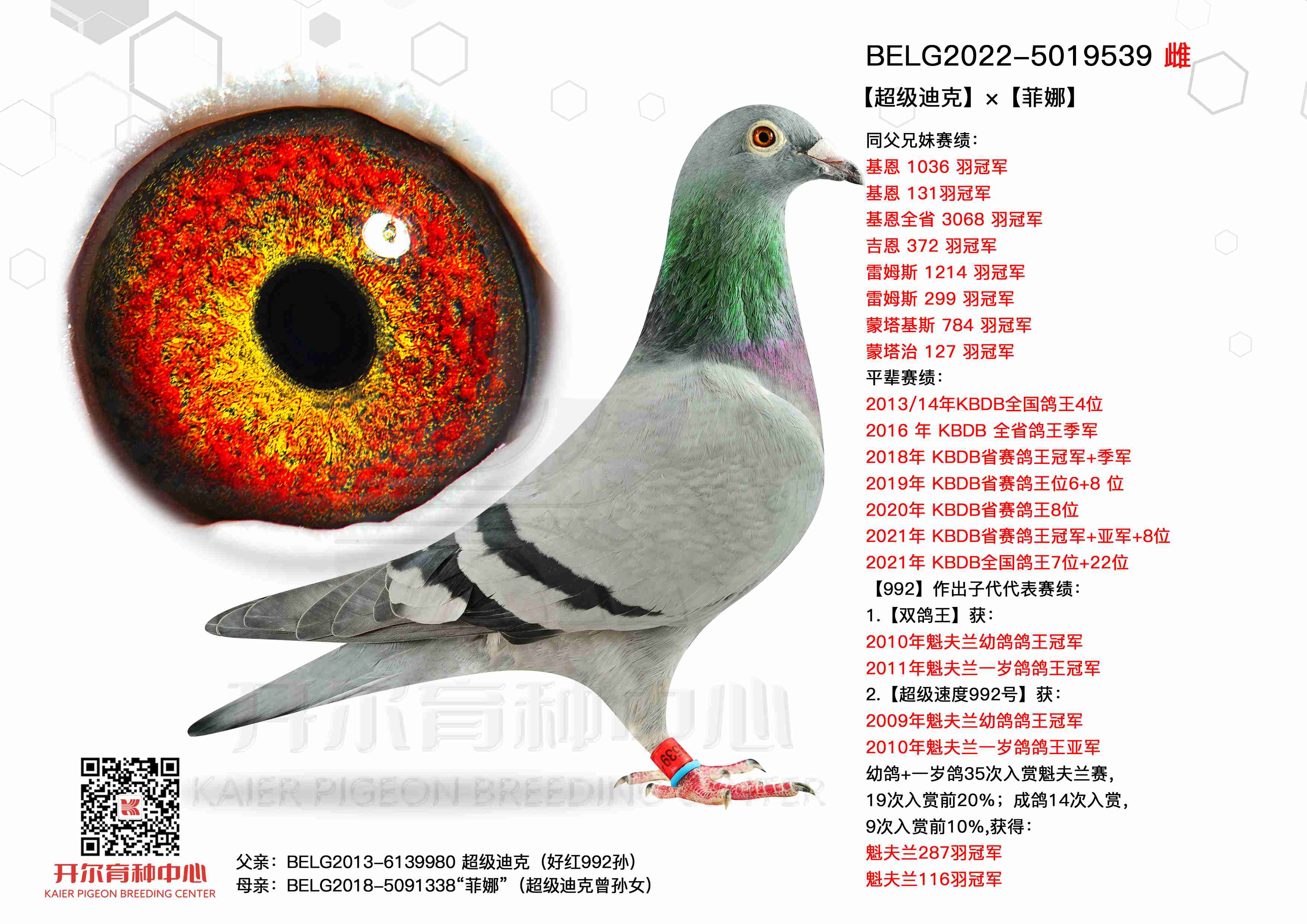 Ͽˡȡ992Ĵ