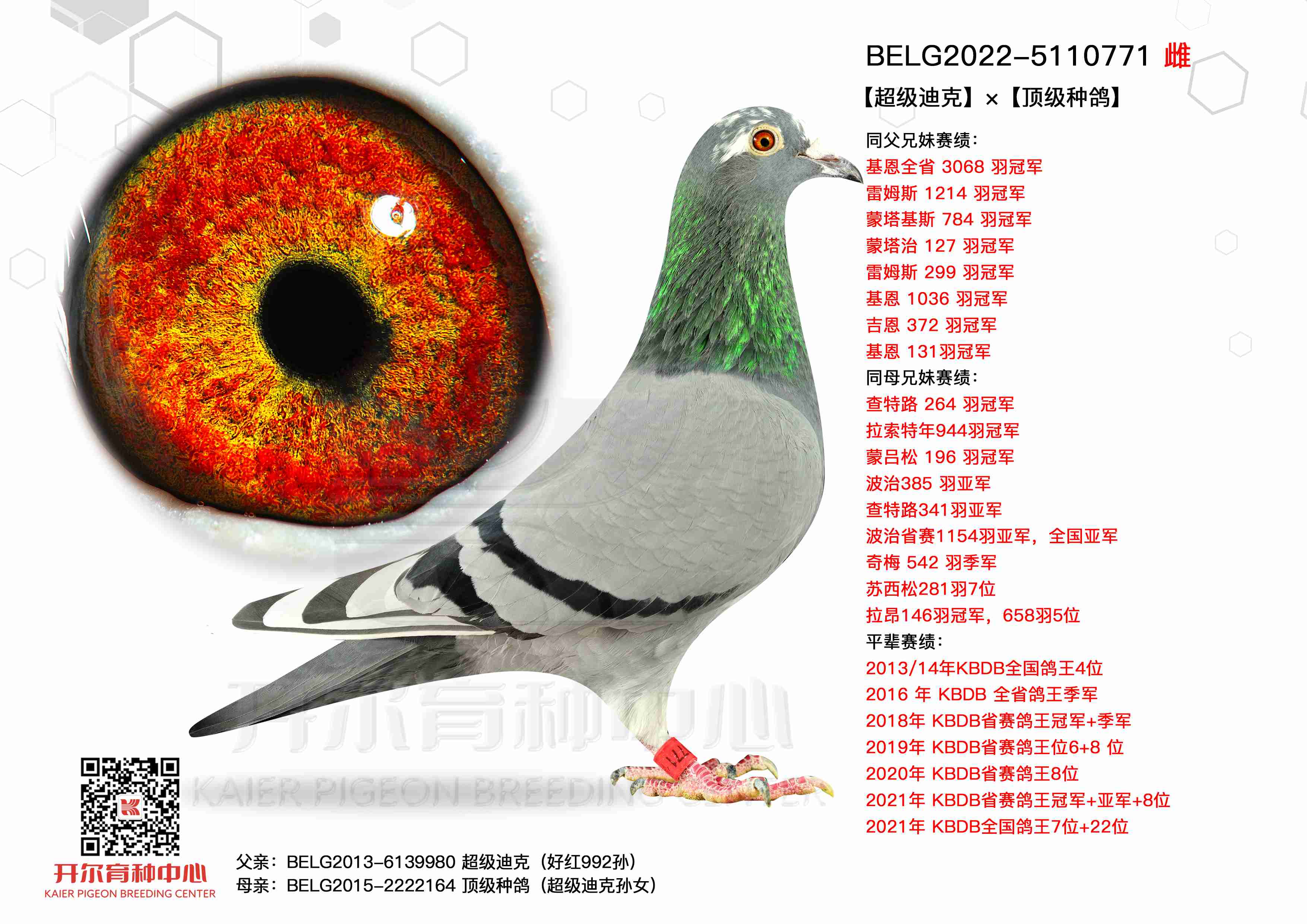 (j)Ͽˡ피(j)N992Ĵ