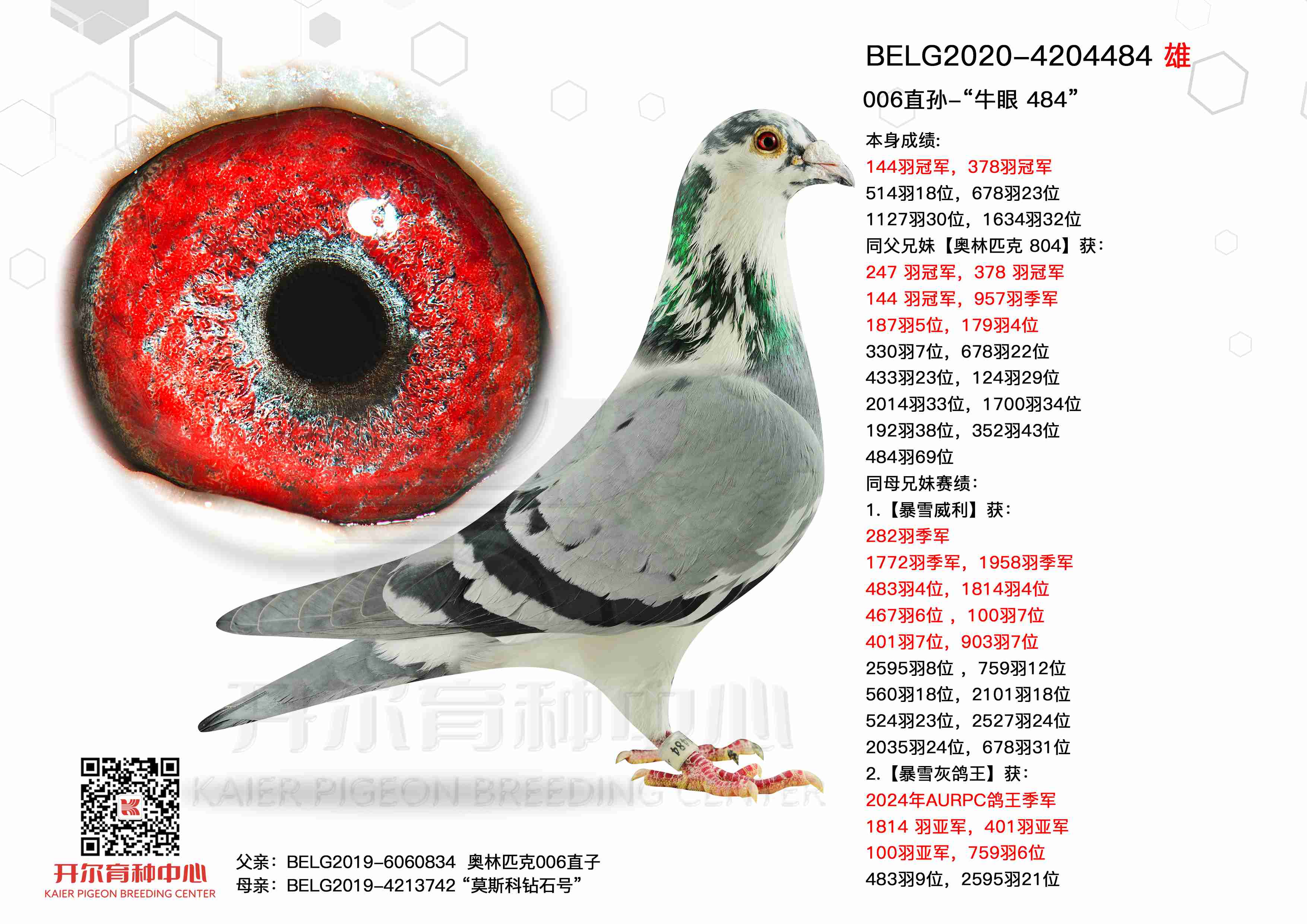 ţ484006ֱ