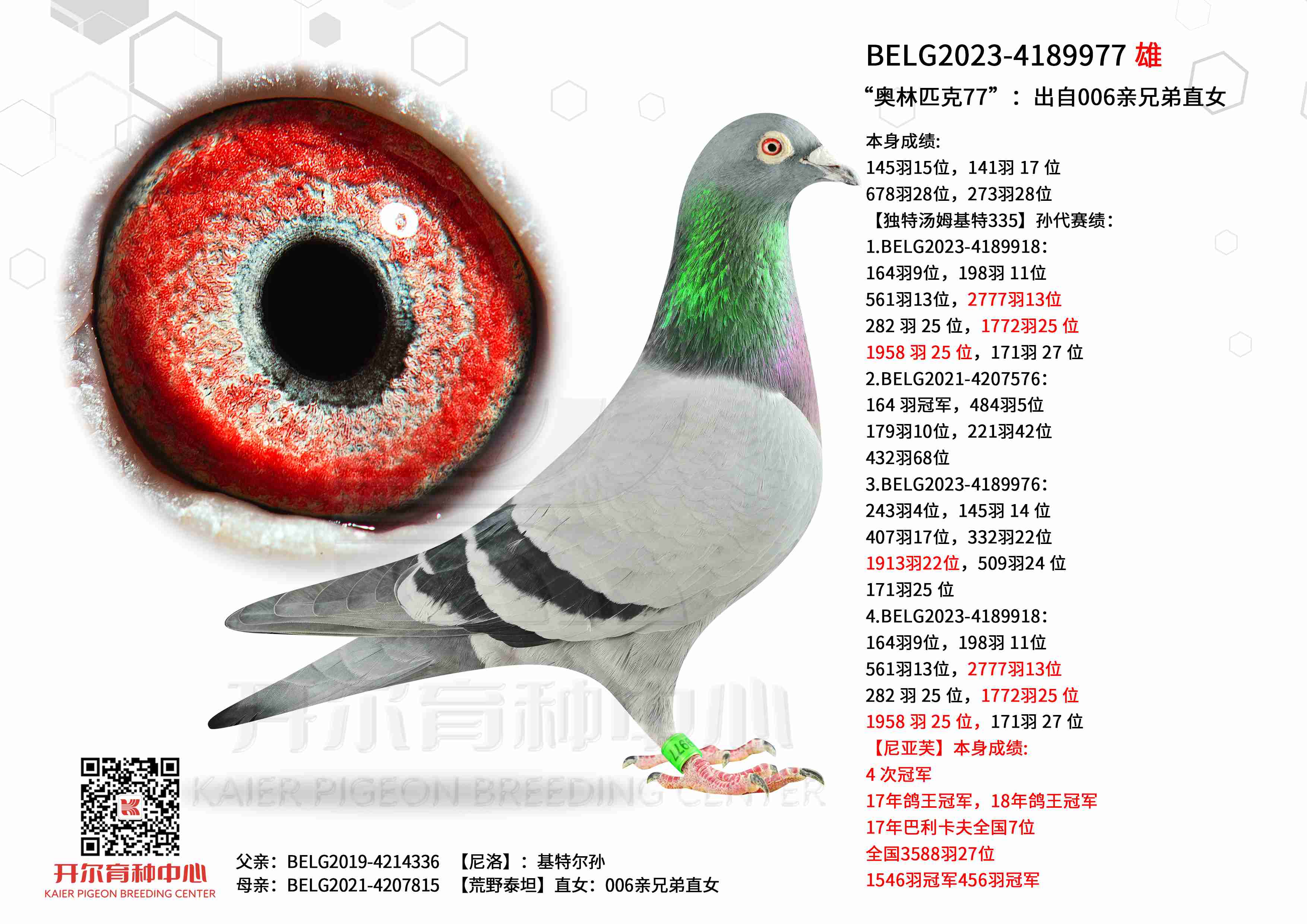 Wƥ77006HֱֵŮ