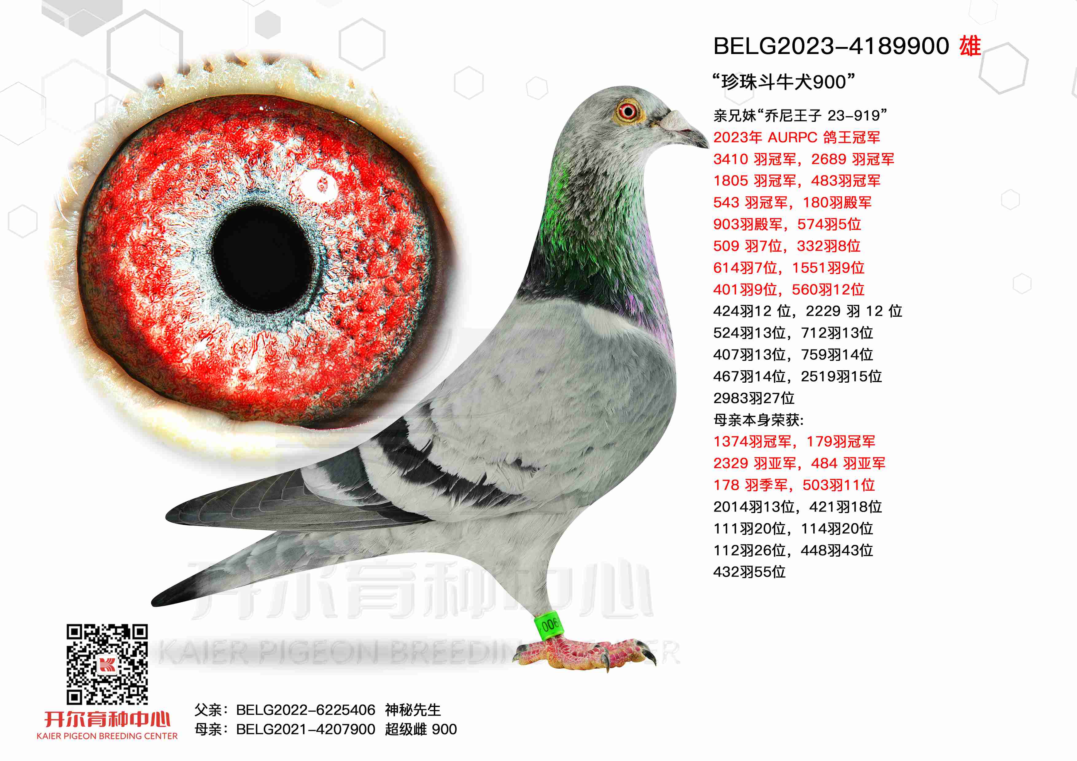 鶷ţȮ900