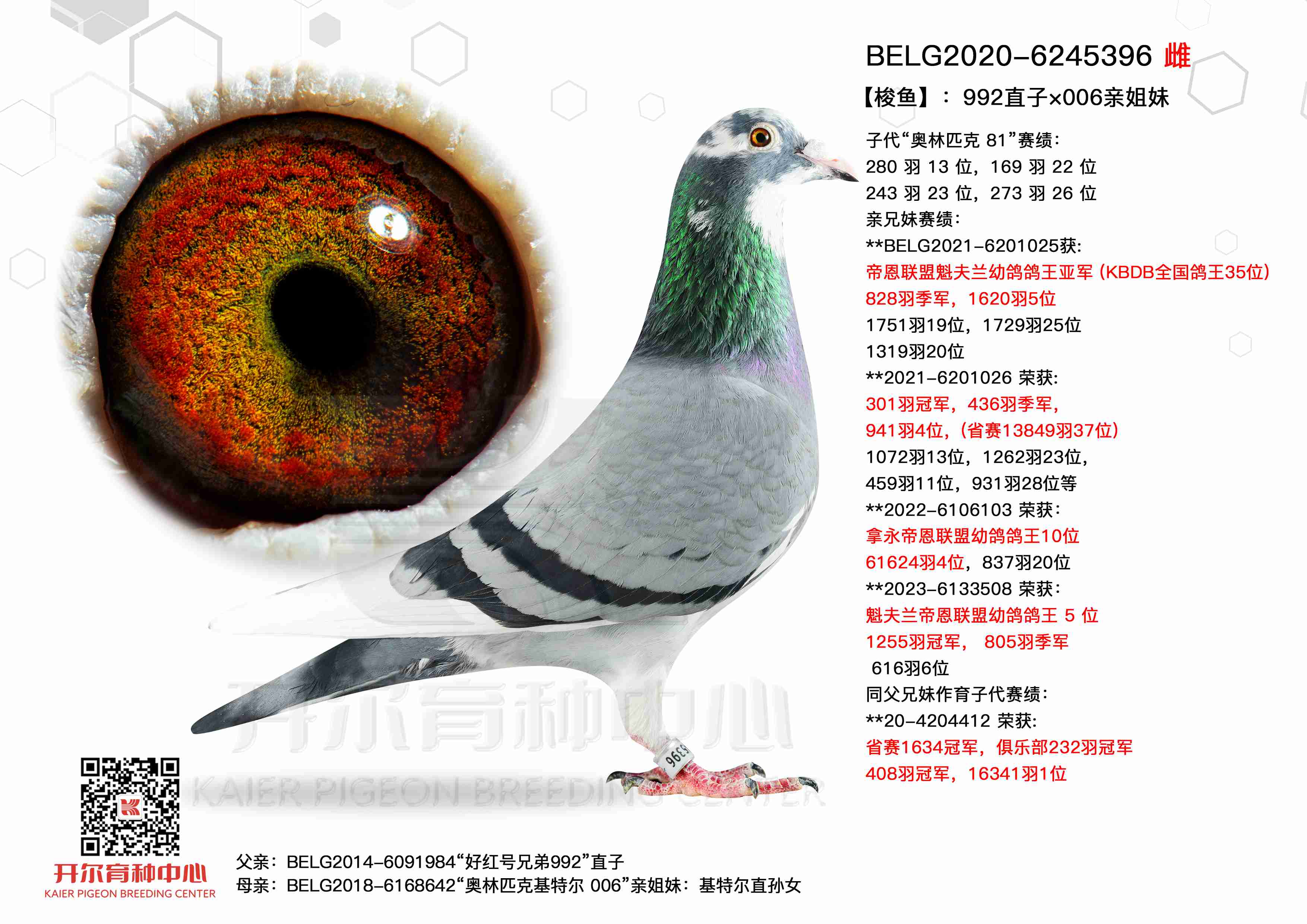 㡿992ֱӡ006׽