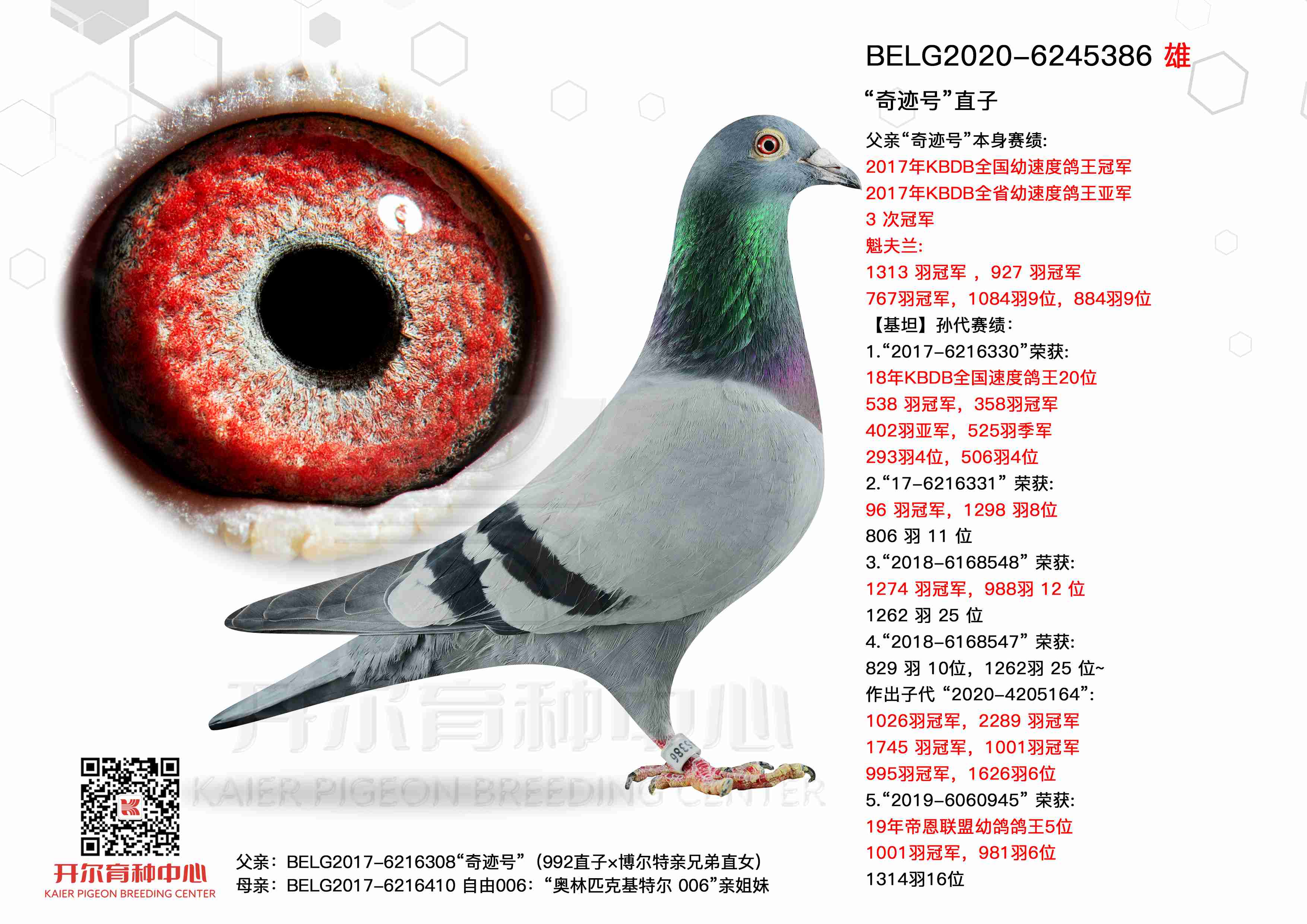 漣šֱ