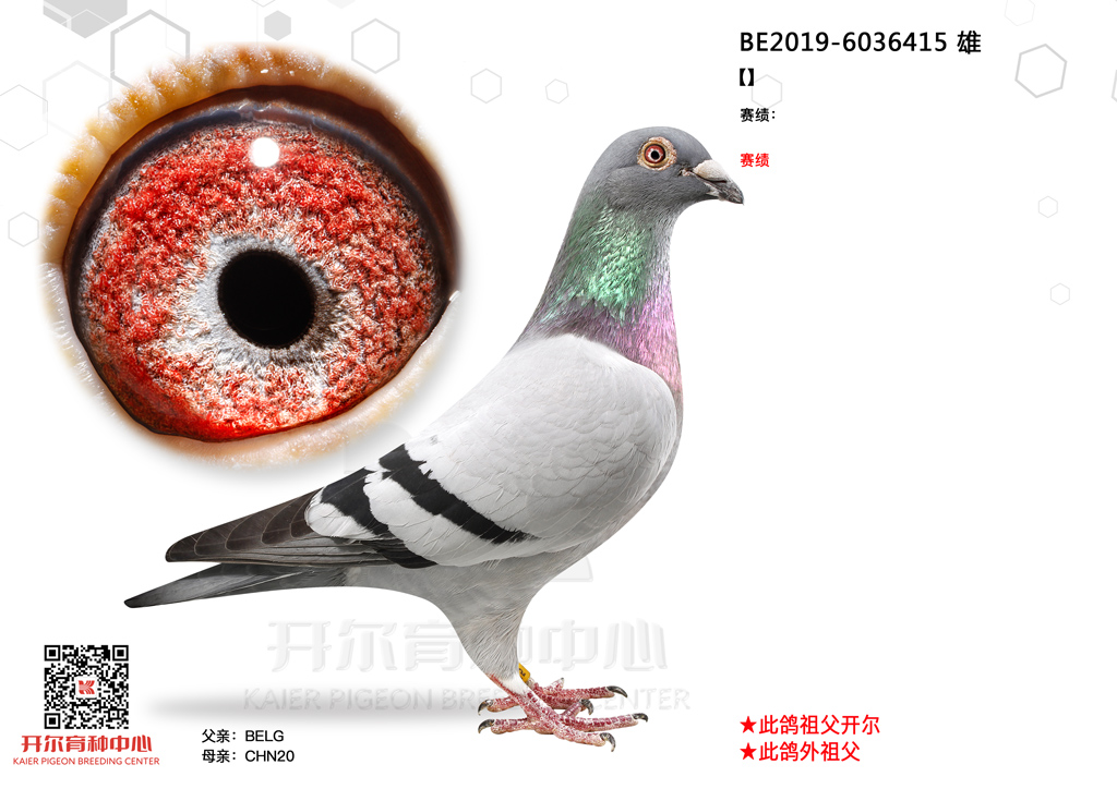 ܻ3̖(ho)ֱӣmֵͬܣ