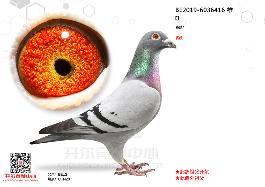 ^ʡֱOmֵͬܣ