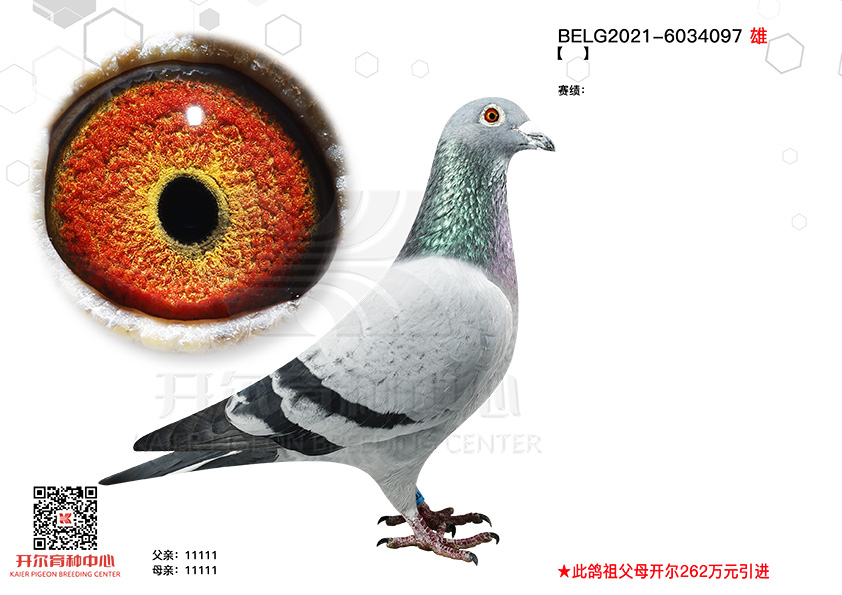 Խؠֱӡ402܊