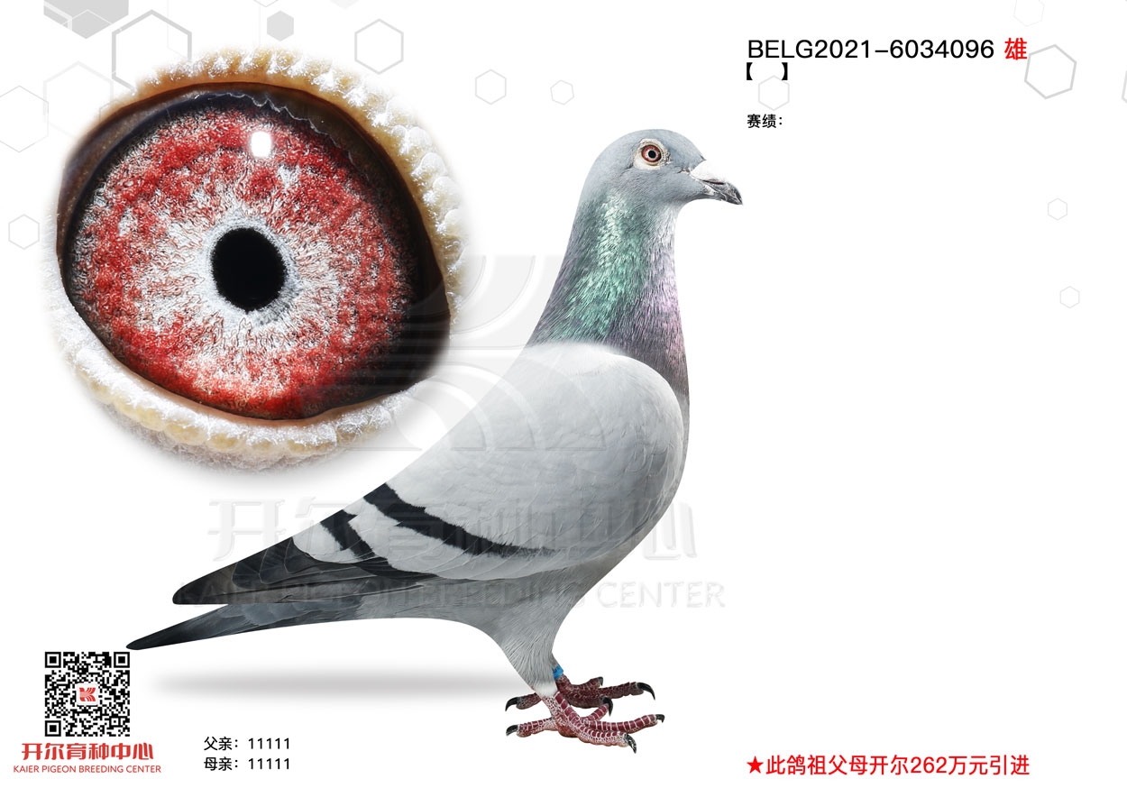 _˹Rֱӡ980/15