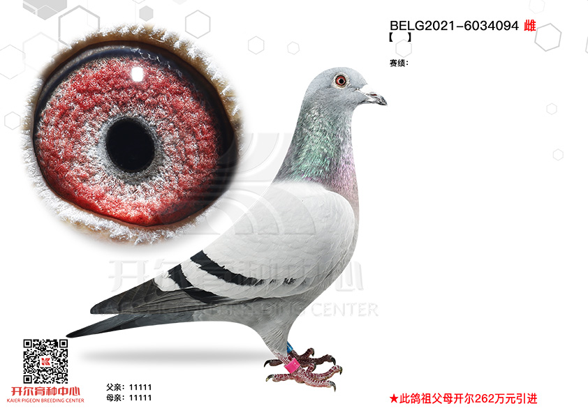 ʮֱŮ