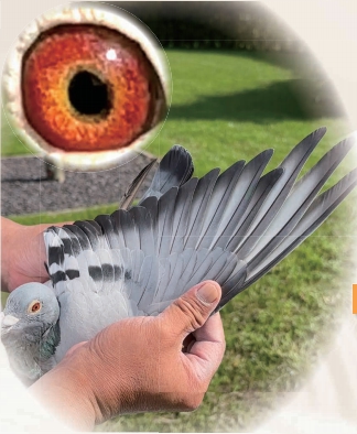 ؽף´ 030ͬã