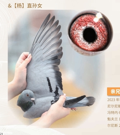 ɫˡֱOŮ