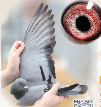 ɫˡֱOŮ