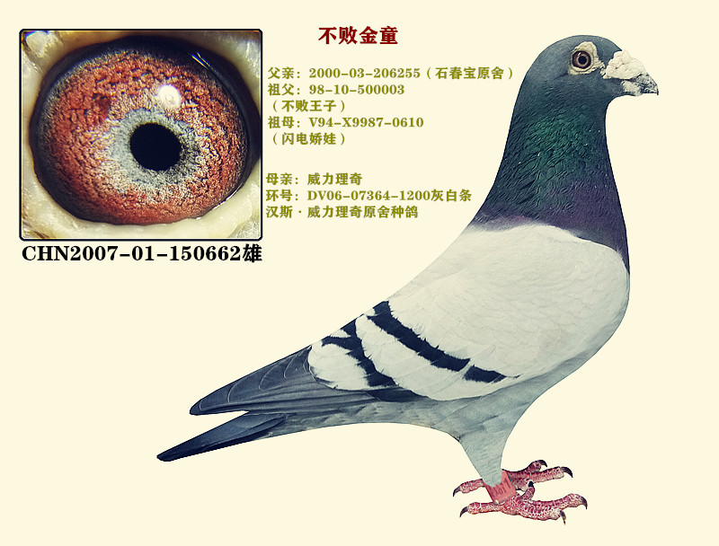 ʯܽͯX罿ޡ
