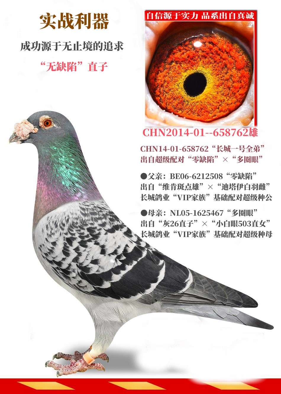Ǹҵȱݡֱ