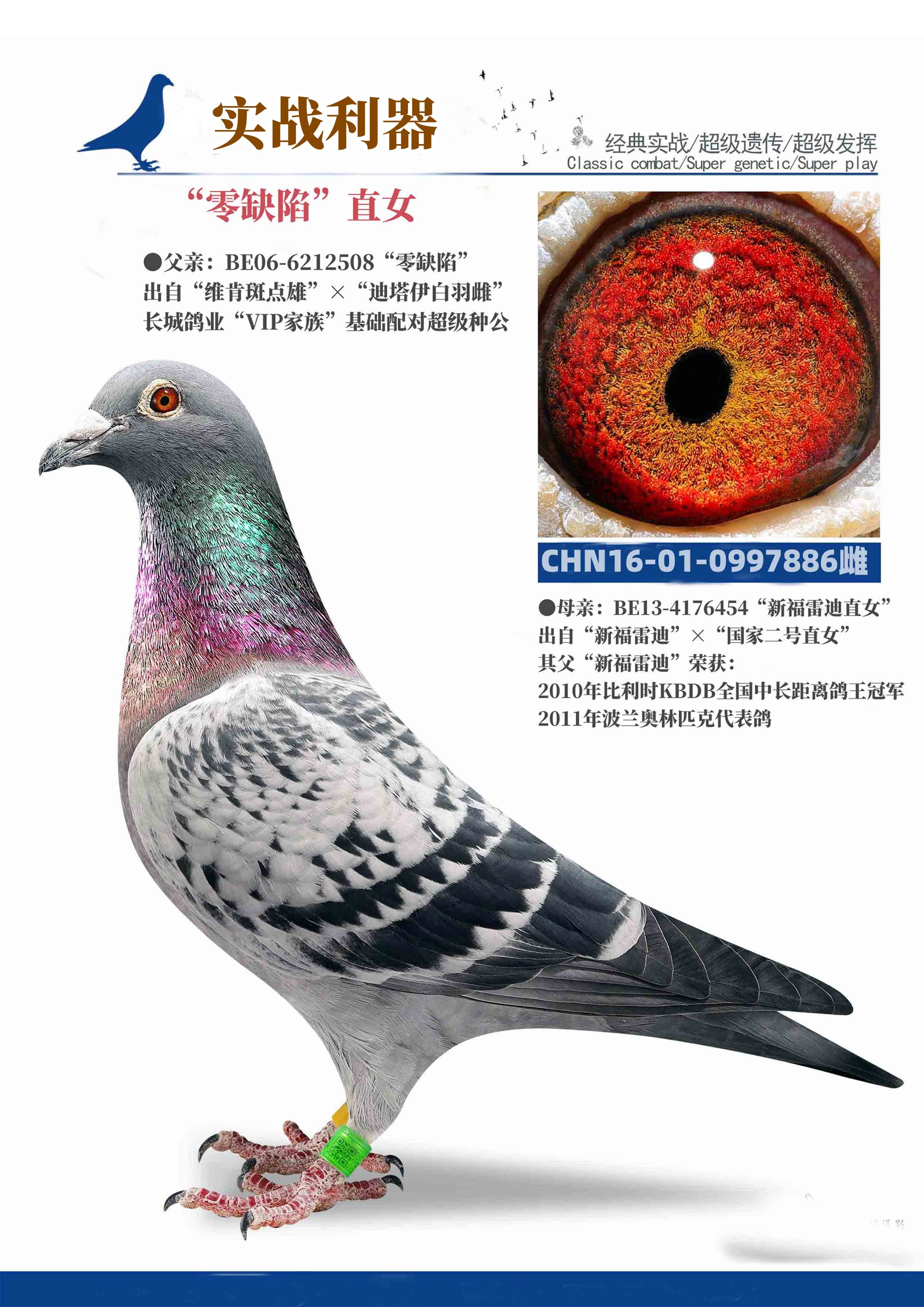 ǸҵȱݡֱŮ