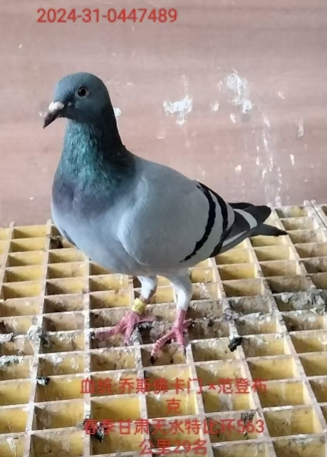 Ұ״