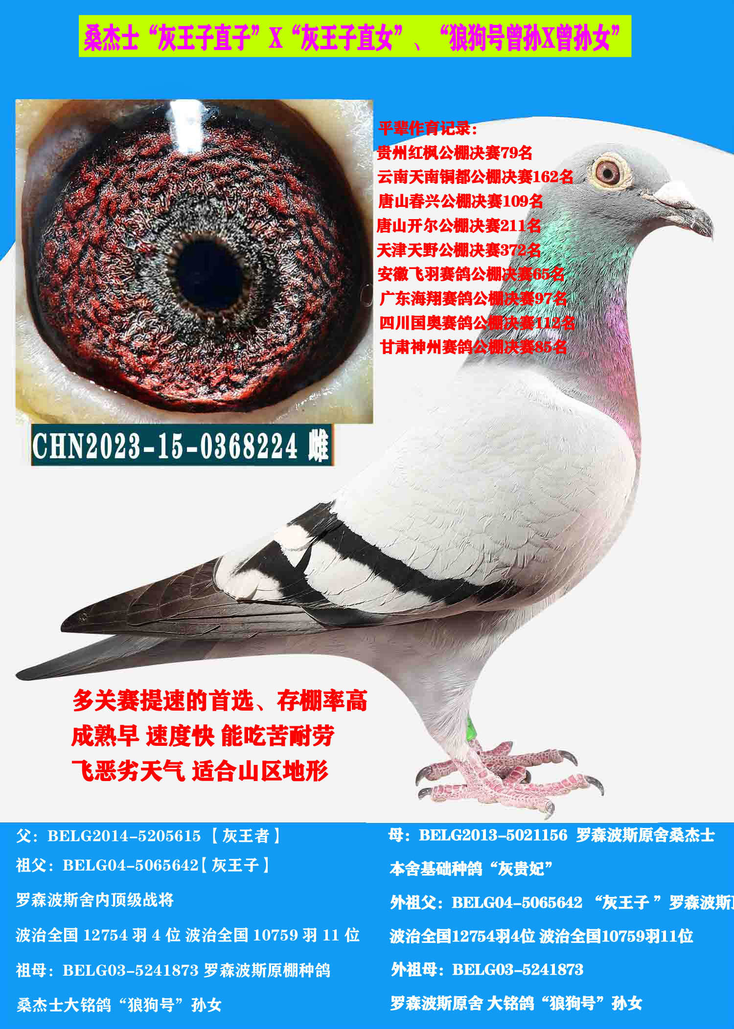 ɣʿӡֱϵNĸ