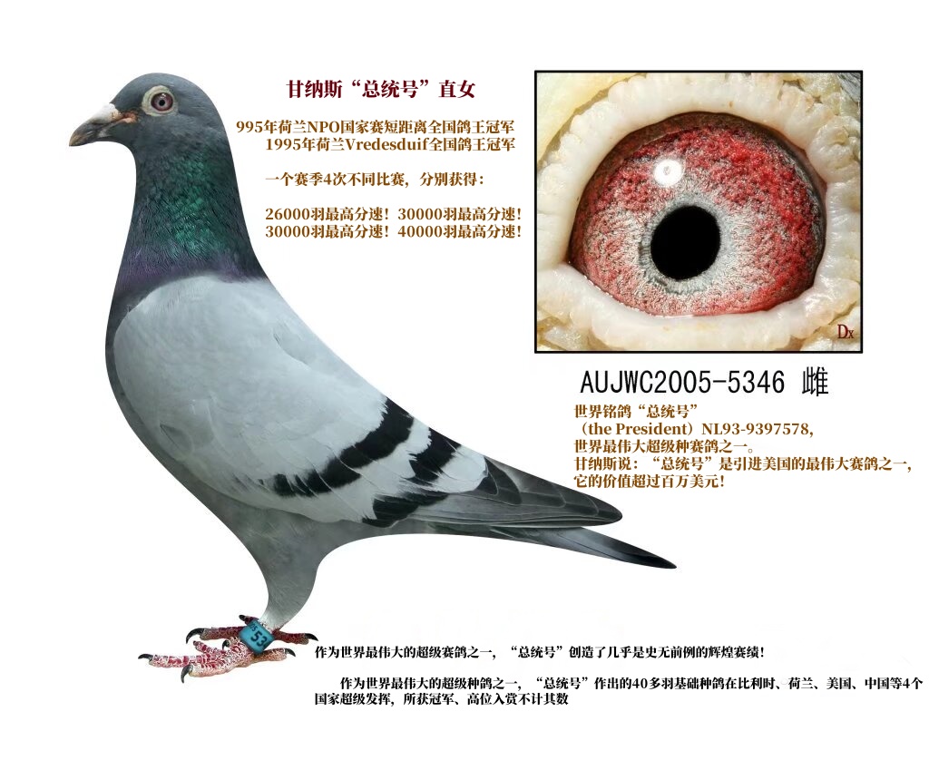 ˹ͳšֱŮ