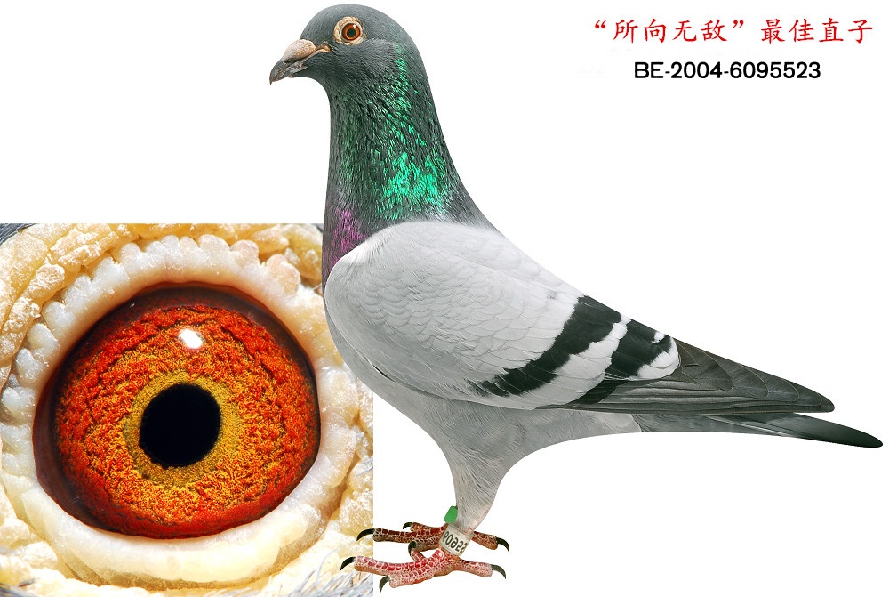 ˡ޵Сֱ