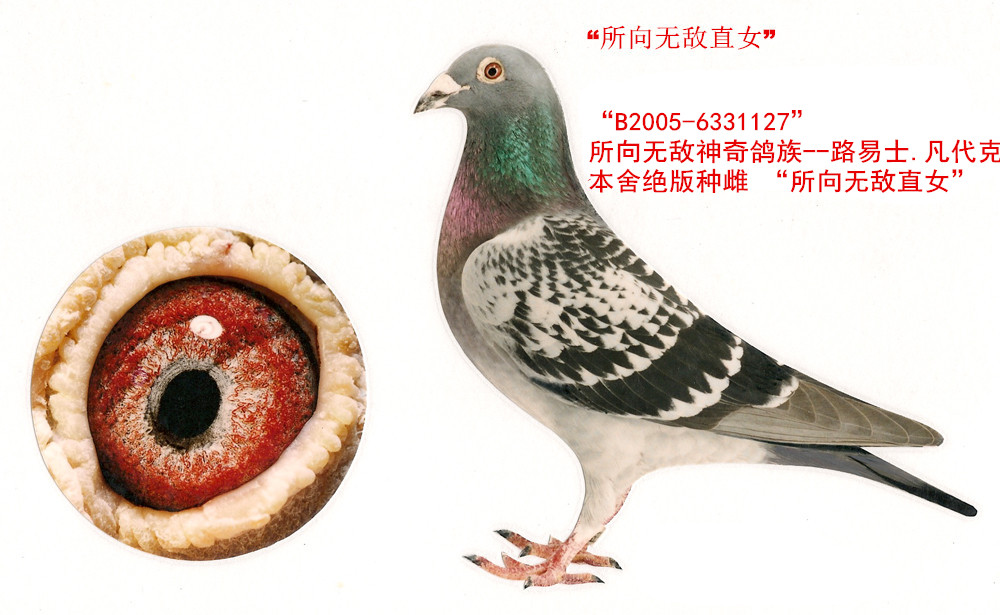 ˡ޵СֱŮ
