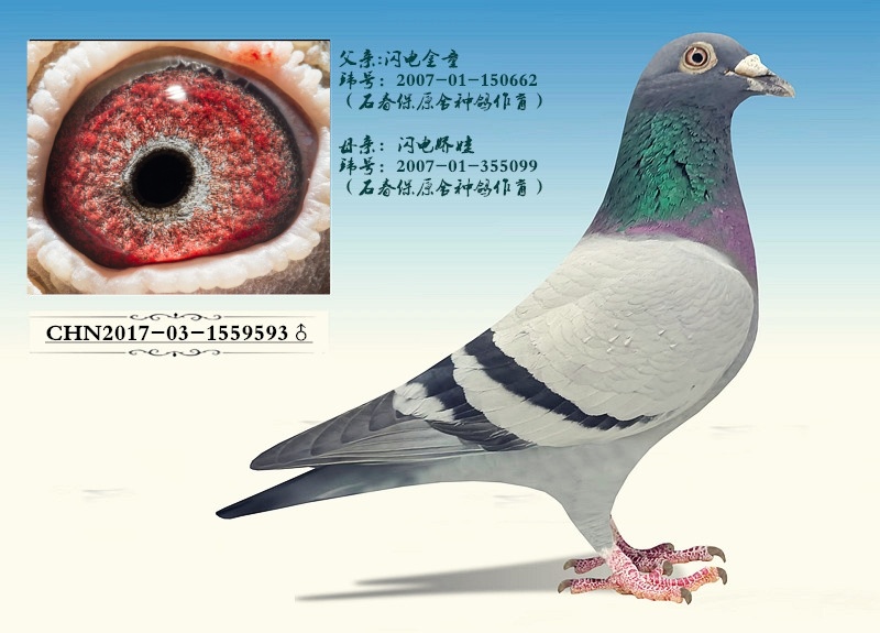 ָʯ罿ޡָ