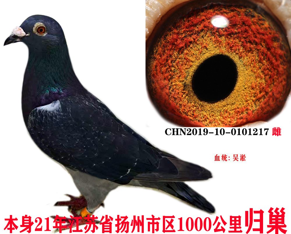 6cfca5fea156197096c4d06b7c6d1a7