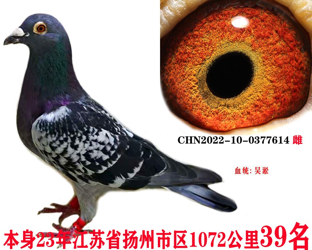 24f0571225c5a6646b87c1f44111cb7