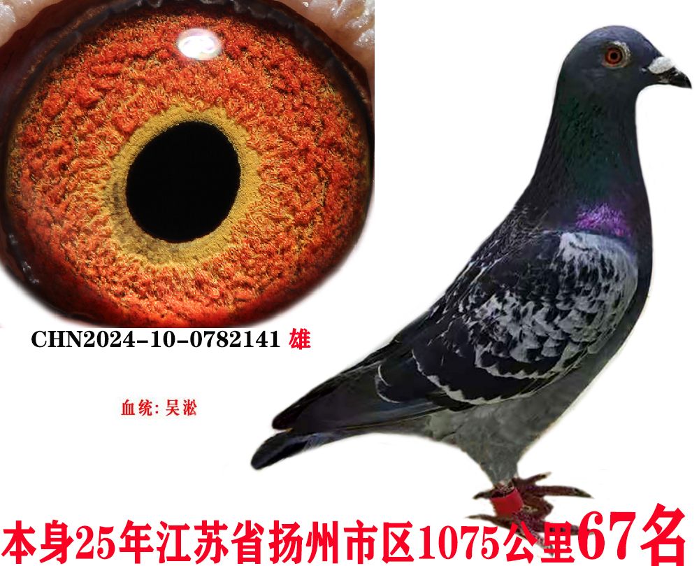 f8746c5e9a6b34a0df0b73b4c0c008f