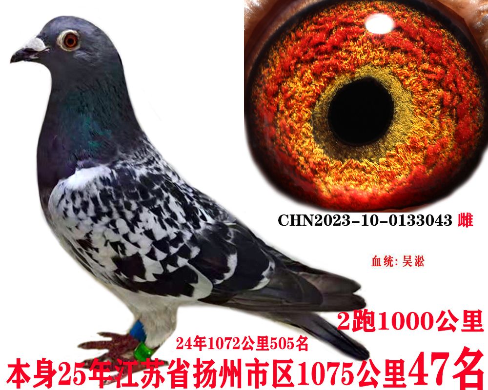 07e77b7255533ba43d71cf2f63ab9c9