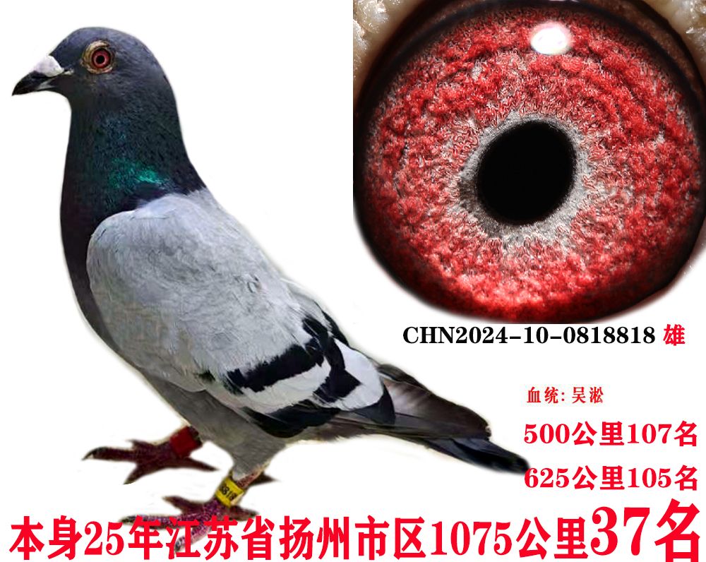 9dd1b98893c2370a1d898ce128ed7fc