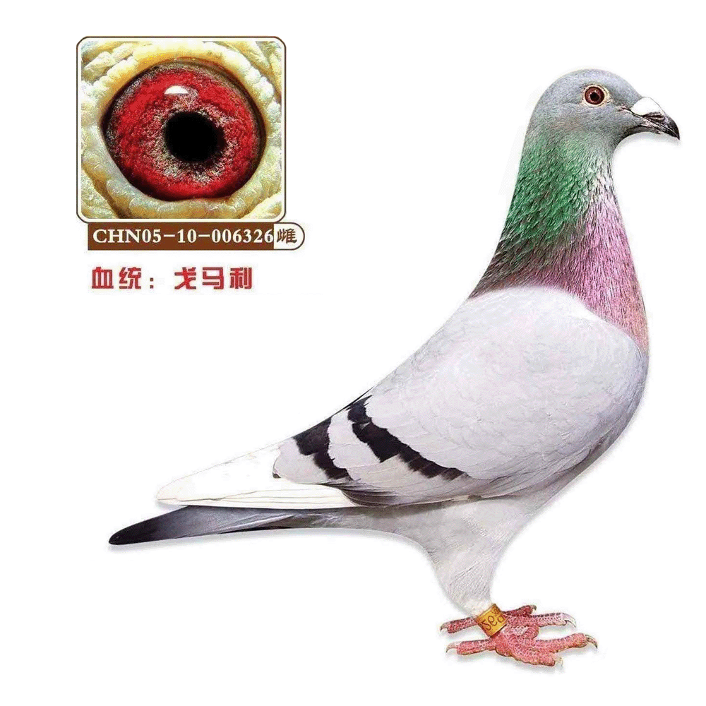 326